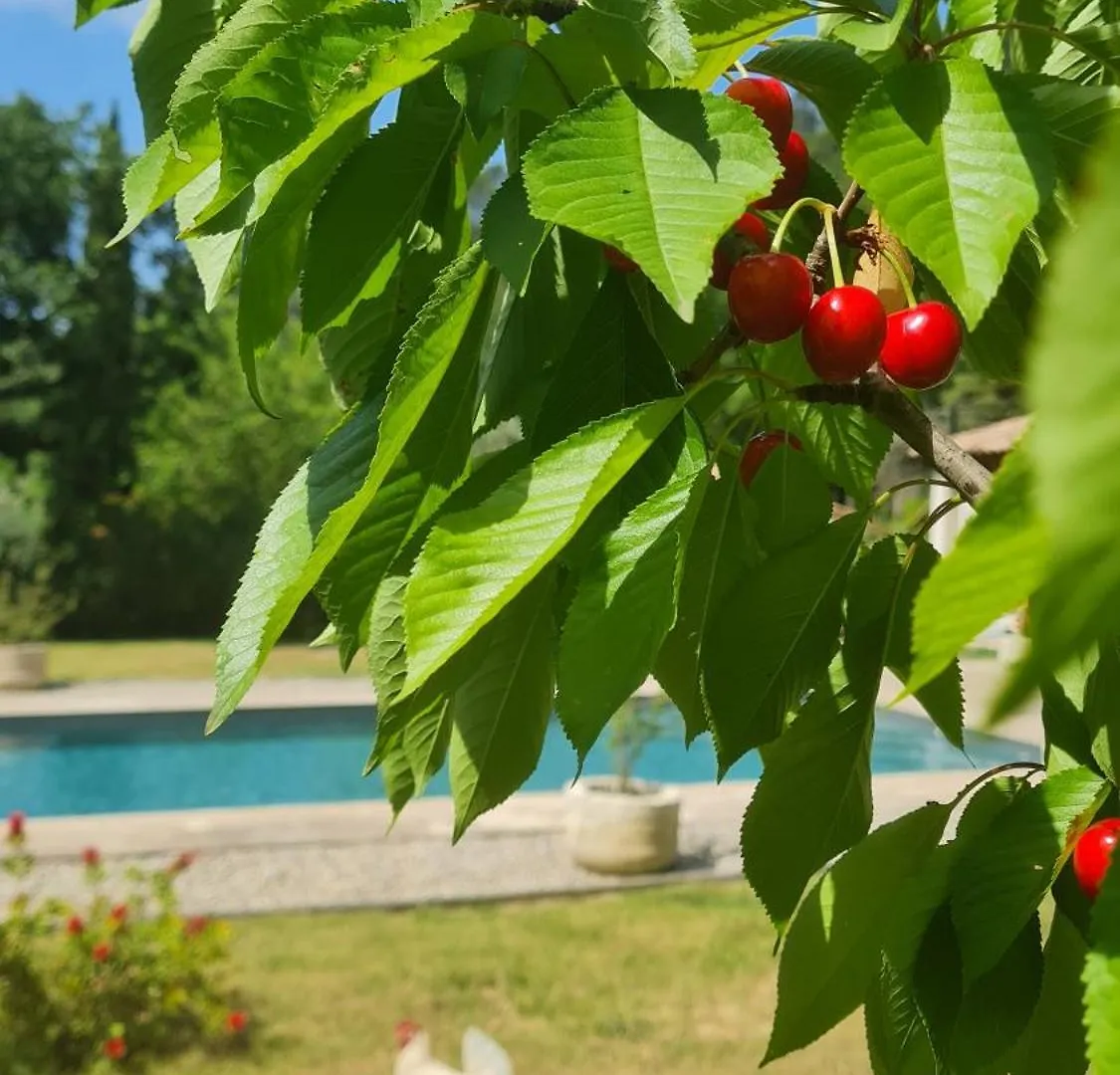 فندق مبيت وإفطار مبيت وإفطار Meounes-les-Montrieux Les Lauriers Fleuris فرنسا
